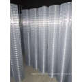 galvanized Welded wire mesh